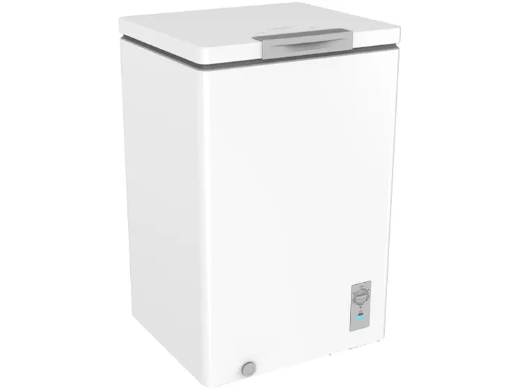 Freezer Industrial Horizontal 100L